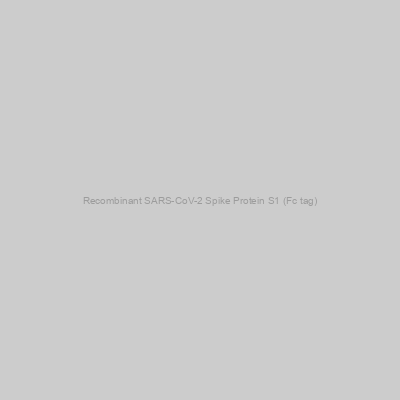 Recombinant SARS-CoV-2 Spike Protein S1 (Fc tag)